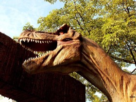 公园时代,重回侏罗纪摄影照片欣赏