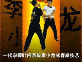 中国武术截图道宣传海报