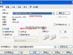 coreldraw打印大幅面设置技巧