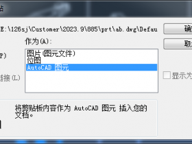如何在AutoCAD中插入excel表格?
